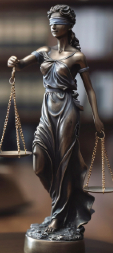 Court Coverage